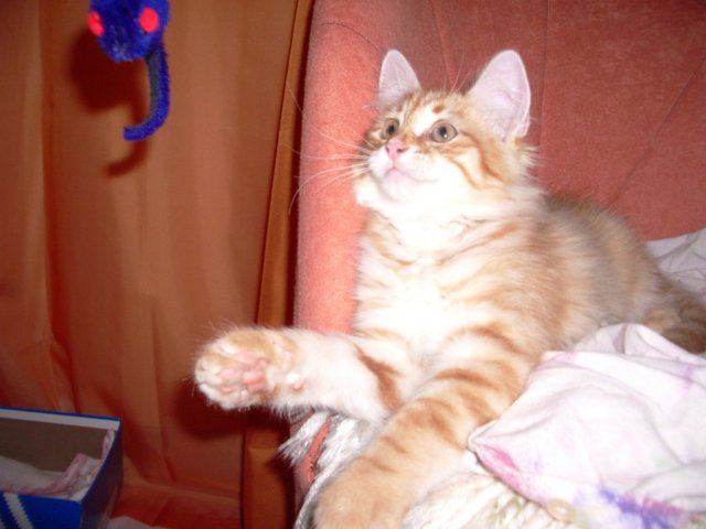 imgp2191.jpg