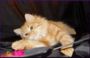 dsc08018.jpg