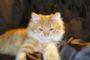 dsc08050.jpg