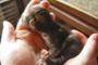 babies3tage.jpg