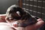 babys3tage__12_.jpg